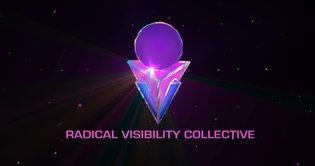 Radical Visibility Collective 2018