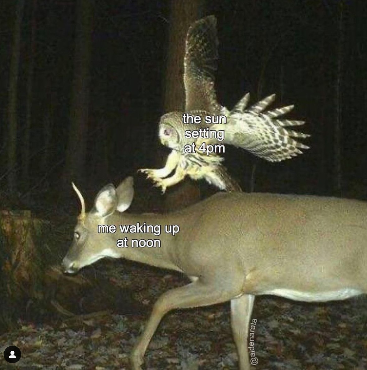 waking up.png