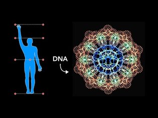 How Sacred Geometry is embedded in Your DNA - Secrets of Geometric Art
