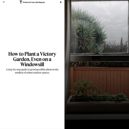 How to Plant a Victory Garden, Even on a Windowsill (Published 2020)