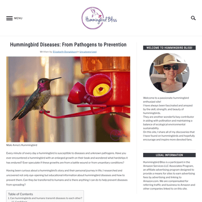 Hummingbird Diseases: From Pathogens to Prevention | Hummingbird Bliss