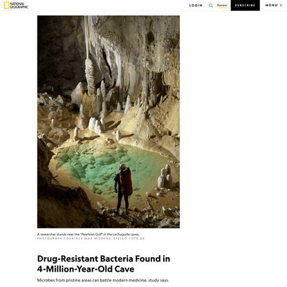 Drug-Resistant Bacteria Found in 4-Million-Year-Old Cave