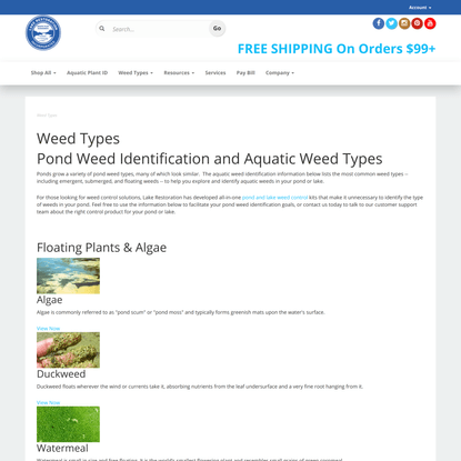 Pond Weed Types - Aquatic Weed Identification Information