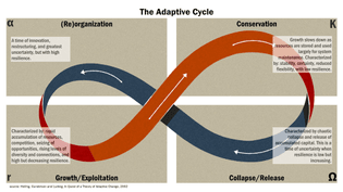adaptive-cycle.jpeg