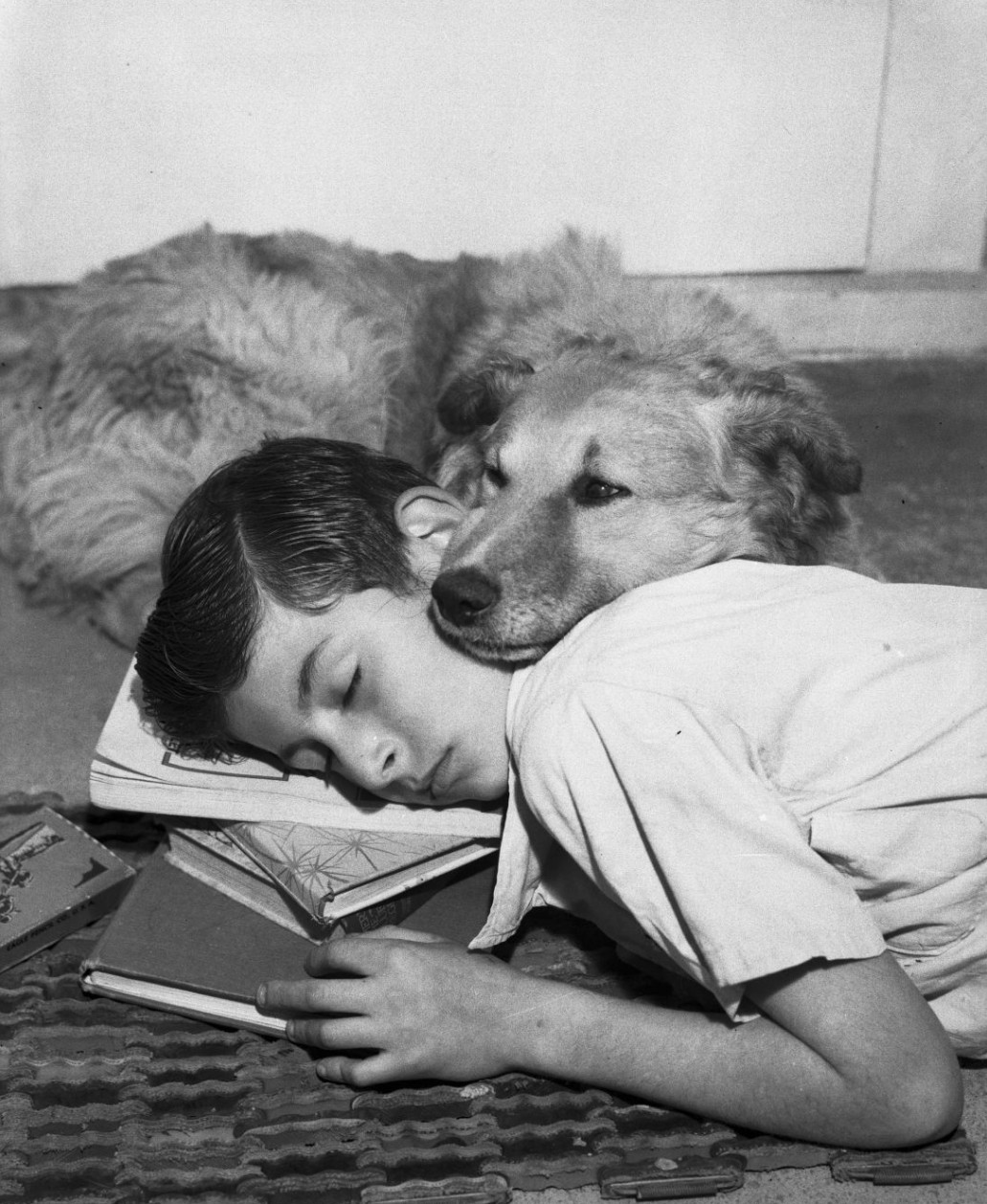 Boy and dog resting on doormat 1940