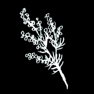 0023719140_10.jpg
