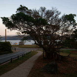 o_09a8321.jpg