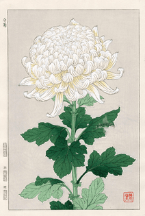 Chrysanthemum, by Kawarazaki Shodo (ca. 1925).