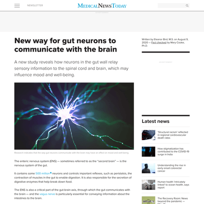 New way for gut neurons to communicate with the brain