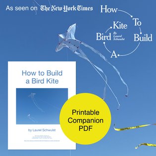 "How to Build a Bird Kite" Printable Companion PDF