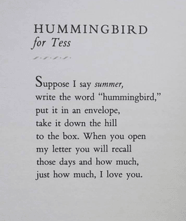 hummingbird (for tess)