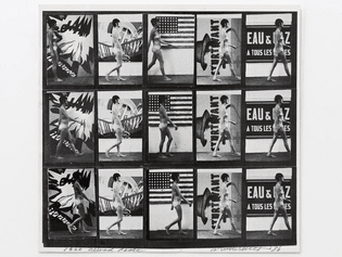Sturtevant; Muybridge Plate #97 Woman Walking; 1966