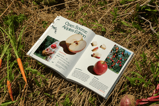 sweetgreen_23.png?auto=format-compress-dpr=1.80-fit=max-q=90-w=1500