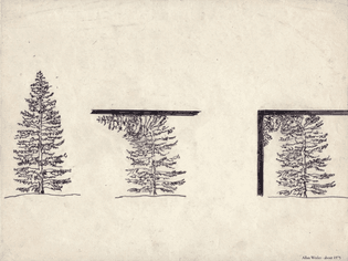 Allan Wexler - Tree intersecting plane (about 1975)