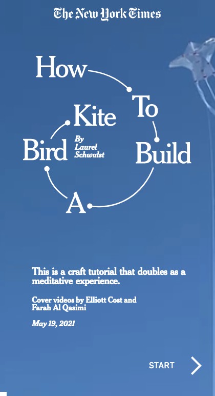 How to Build a Bird Kite