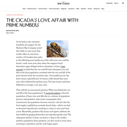 The Cicada’s Love Affair With Prime Numbers