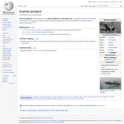 Exaireta spinigera - Wikipedia