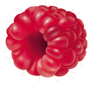 raspberry_fruit_png_clipart-252.png