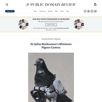Dr Julius Neubronner’s Miniature Pigeon Camera
