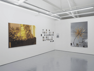maureen_paley_wolfgang_tillmans.jpg?1465664823