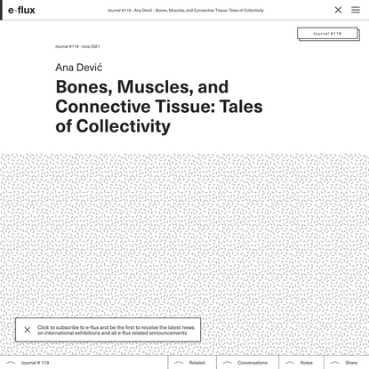 Bones, Muscles, and Connective Tissue: Tales of Collectivity