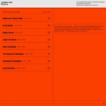 DESIGN INQUIRY RADIO