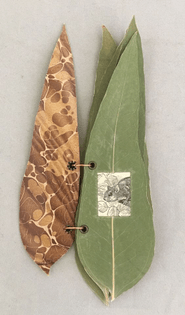 leaf binding