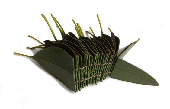 leaf binding