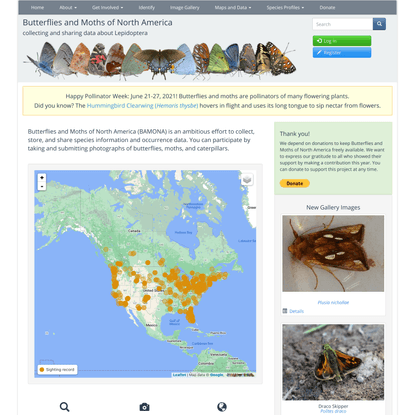 Butterflies and Moths of North America | collecting and sharing data about Lepidoptera