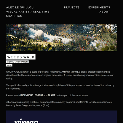 Woods Walk — Alex Le Guillou, visual artist, real time graphics
