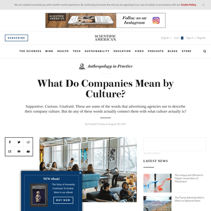 What Do Companies Mean by Culture?