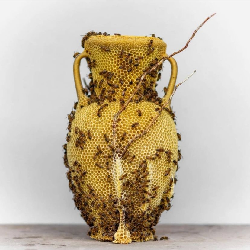 honeycomb amphora 