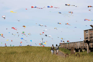 Kite Festival by Keith Schwartz