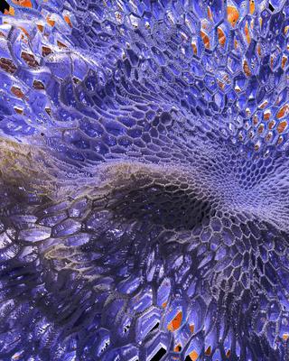 191308688_100317322247728_8302570884463579867_n.jpg?tp=1-_nc_ht=scontent-iev1-1.cdninstagram.com-_nc_cat=104-_nc_ohc=esxs1af...