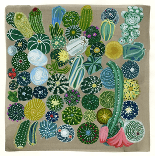 cactus-illustration.jpg