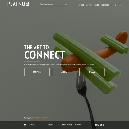 PLATNUM - THE ART OF CONNECTING