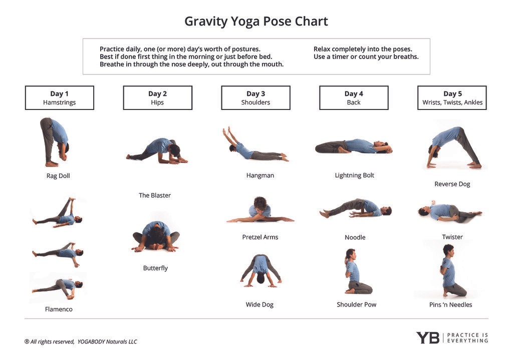 Gravity Yoga Posechart 2020 Pdf Are Na