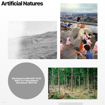 Artificial Natures