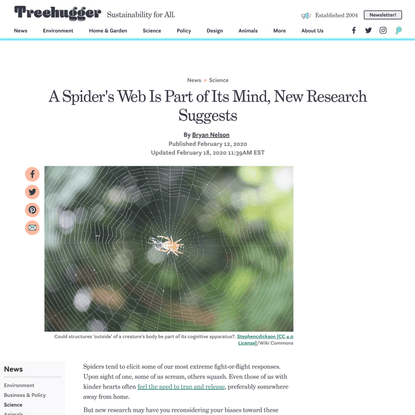 A Spider’s Web Is Part of Its Mind, New Research Suggests