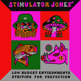 simulator jones - low budget environments striving for perfection [2021]