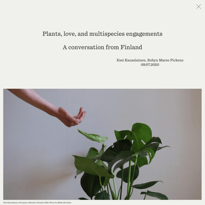 Plants, love, and multispecies engagements