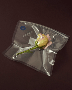 ADAM GOODISON—Vacuum flowers