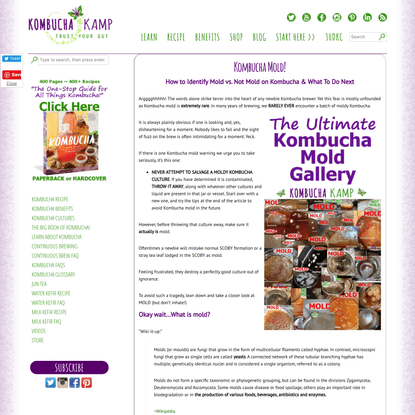 Kombucha Mold/Not Mold Photos plus Brew Safety Info - Kombucha Kamp