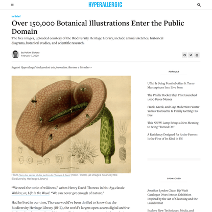 Over 150,000 Botanical Illustrations Enter the Public Domain