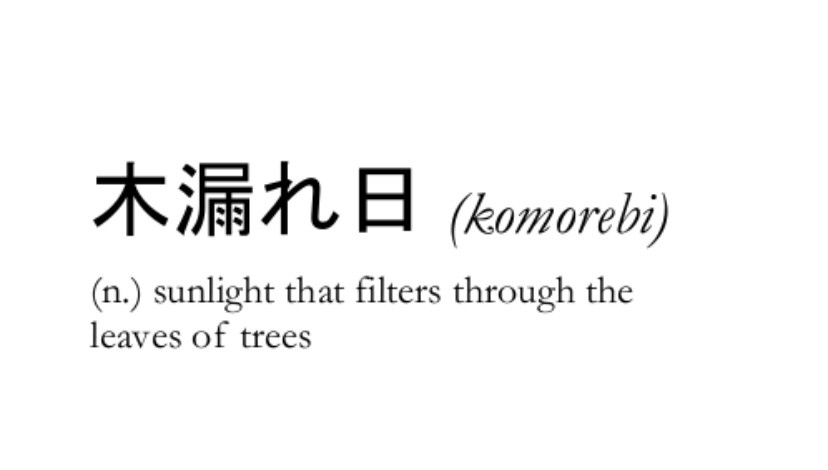 komorebi 