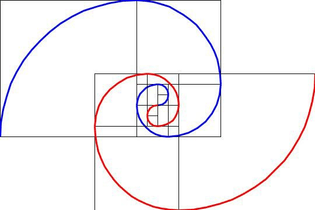 fib_spirals.jpg