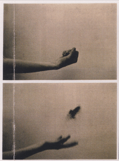 Iron Fillings, Hussein Chalayan.