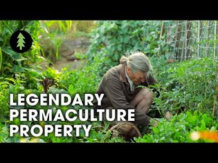 Legendary Australian Permaculture Garden Tour - David Holmgren &amp; Su Dennett's Melliodora