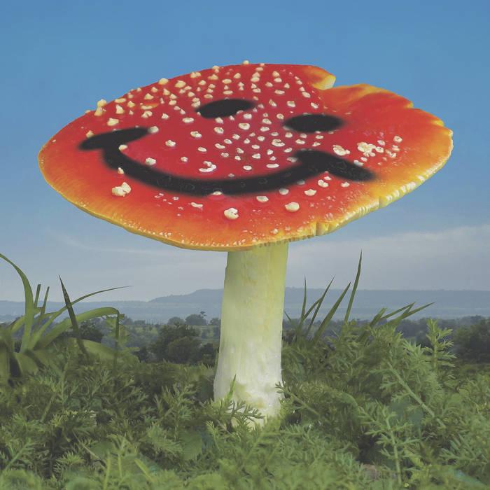 Nathan Melja & Flørist – Wonderland [PARODIA01]