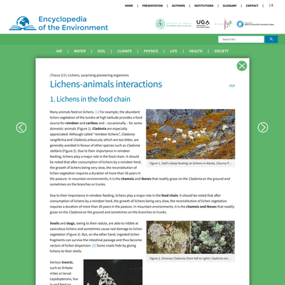 Lichens-animals interactions - Encyclopedia of the Environment